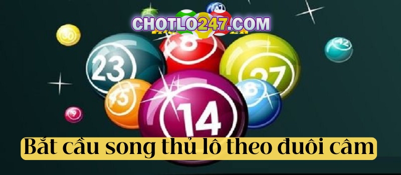 Bắt cầu song thủ lô theo đuôi câm