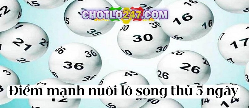 Điểm mạnh và điểm yếu khi nuôi lô song thủ khung 5 ngày