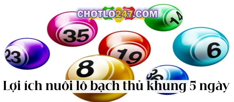 Lợi ích khi nuôi lô bạch thủ khung 5 ngày là gì