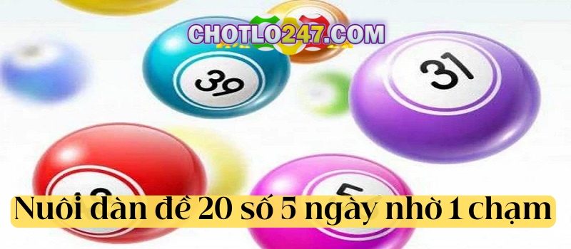 Nuôi dàn đề 20 số khung 5 ngày nhờ 1 chạm