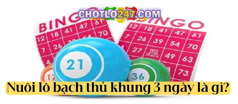 Nuôi lô bạch thủ khung 3 ngày là gì