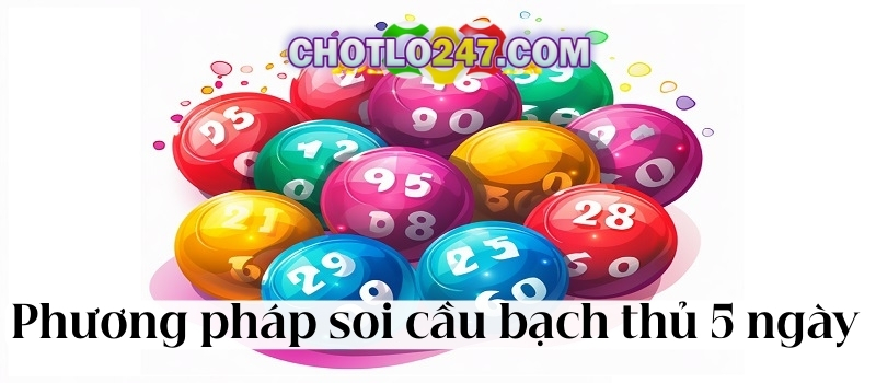 Phương pháp soi cầu bạch thủ lô khung 5 ngày chuẩn