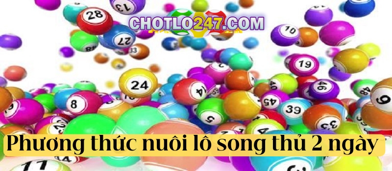 Phương thức nuôi lô song thủ khung 2 ngày VIP