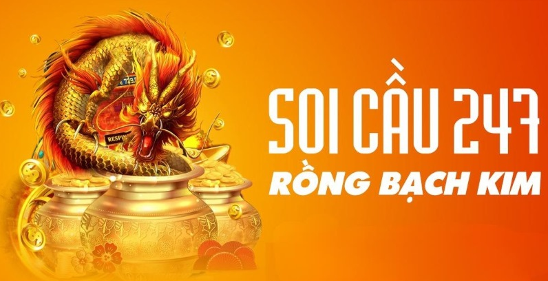 Rồng Bạch Kim 247 là gì