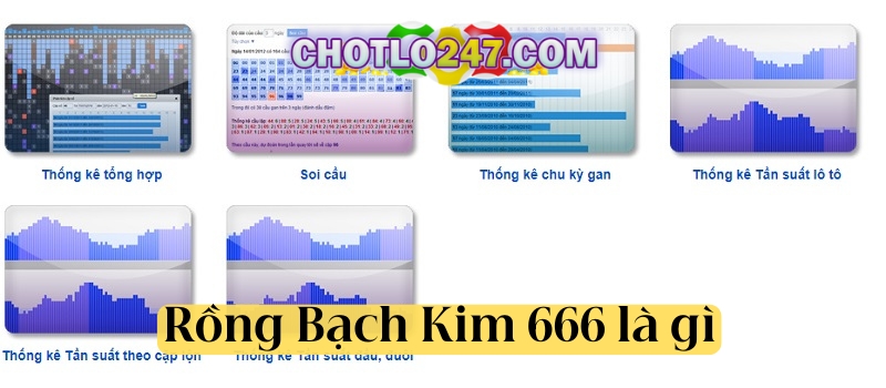 Rồng Bạch Kim 666 là gì