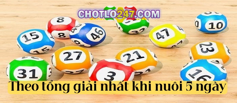 Theo tổng giải nhất khi nuôi 5 ngày