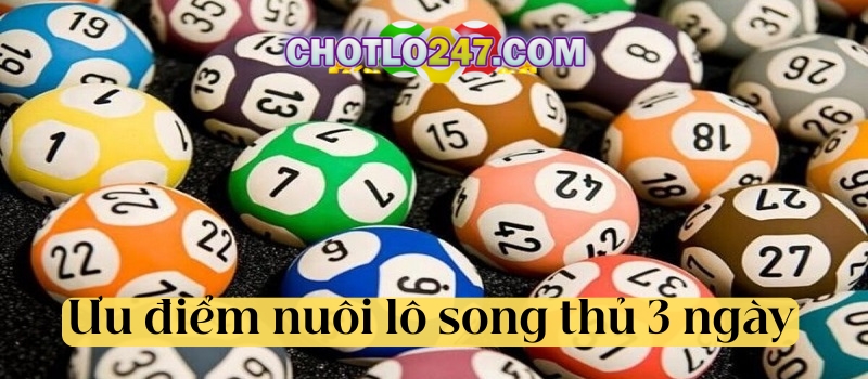 Ưu Điểm nổi bật khi anh em nuôi lô song thủ khung 3 ngày