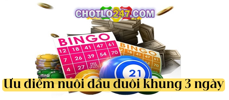 Ưu điểm khi nuôi đầu đuôi khung 3 ngày